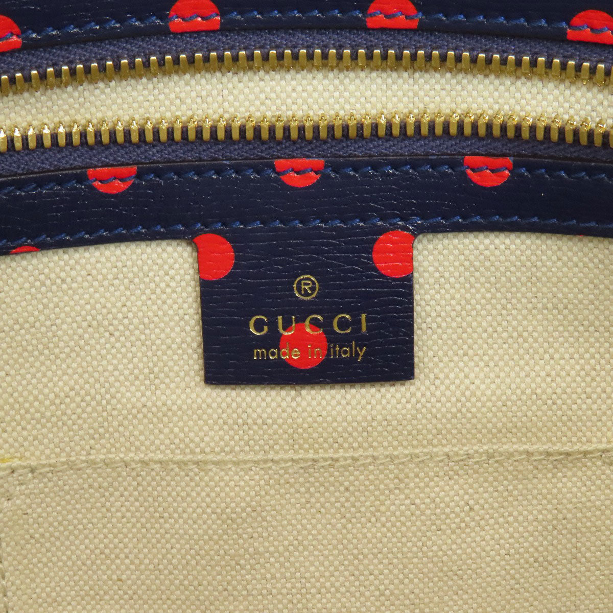 Drift Supply - GGC1 BAG - 737